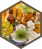 Complimentary Therapies - Dr Natasha Andreadis